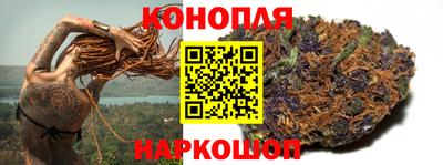 крисы Бузулук
