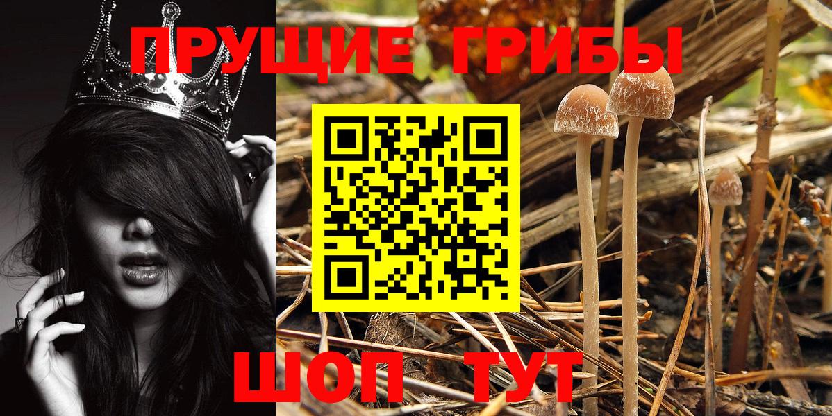 Галлюциногенные грибы Magic Shrooms  Вход с VPN  где найти   Элиста 