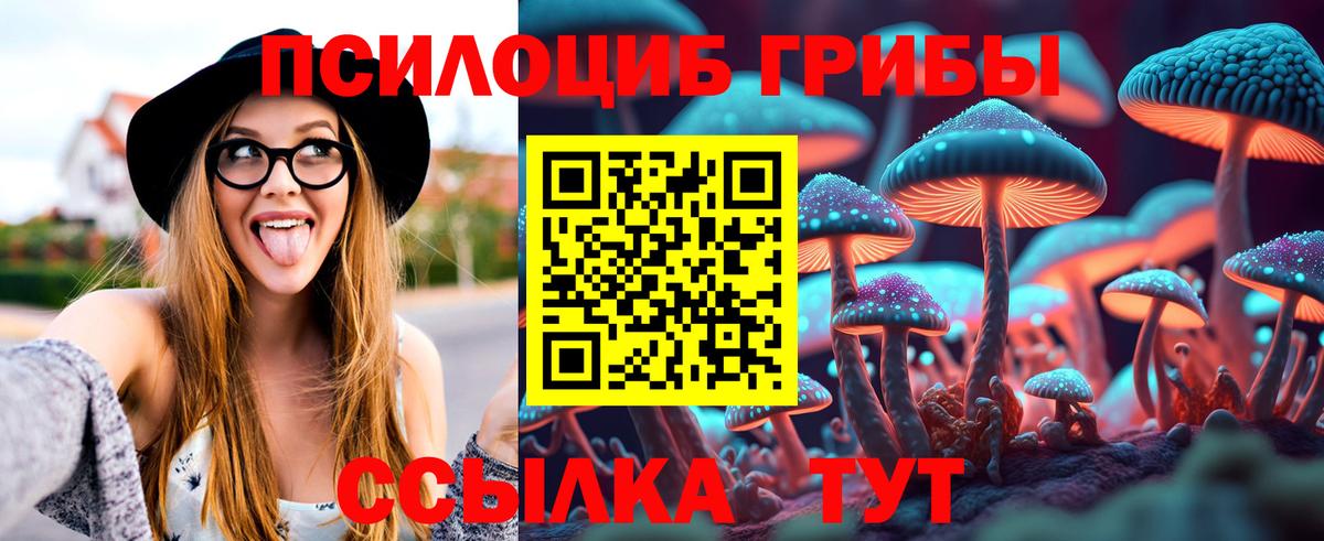 Псилоцибиновые грибы Psilocybine cubensis Элиста